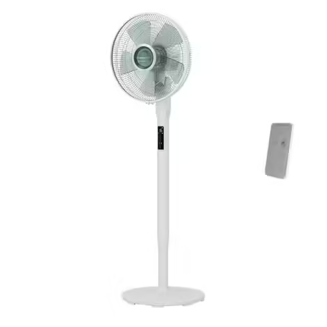 voir l'offre voir l'offre